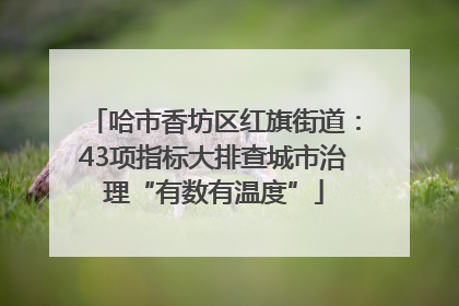 哈市香坊区红旗街道：43项指标大排查城市治理“有数有温度”