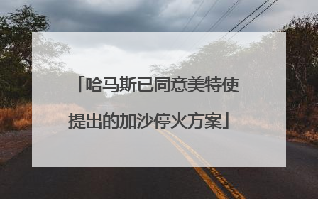 哈马斯已同意美特使提出的加沙停火方案