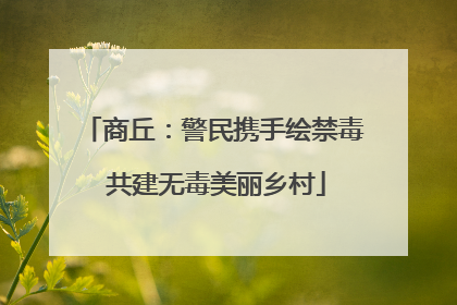 商丘：警民携手绘禁毒 共建无毒美丽乡村