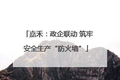 嘉禾：政企联动 筑牢安全生产“防火墙”