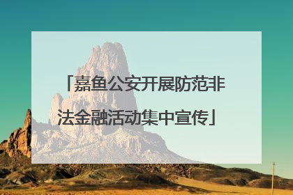 嘉鱼公安开展防范非法金融活动集中宣传