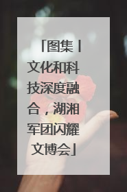 图集丨文化和科技深度融合，湖湘军团闪耀文博会