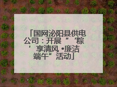 国网泌阳县供电公司：开展“‘粽’享清风 •廉洁端午”活动