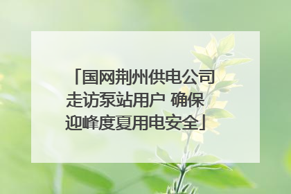 国网荆州供电公司走访泵站用户 确保迎峰度夏用电安全