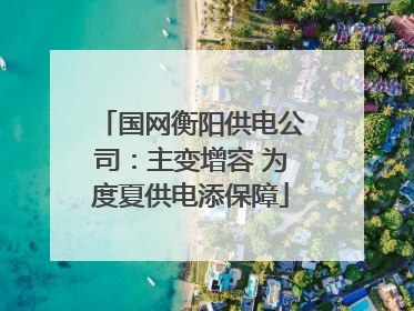 国网衡阳供电公司：主变增容 为度夏供电添保障