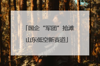 国企“军团”抢滩山东低空新赛道