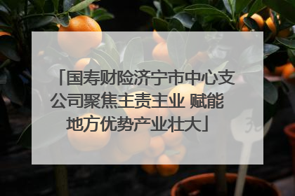 国寿财险济宁市中心支公司聚焦主责主业 赋能地方优势产业壮大