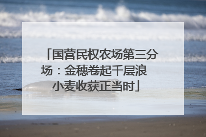 国营民权农场第三分场：金穗卷起千层浪 小麦收获正当时