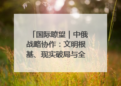 国际瞭望｜中俄战略协作：文明根基、现实破局与全球秩序重构