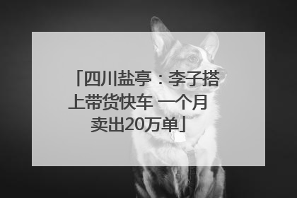 四川盐亭：李子搭上带货快车 一个月卖出20万单