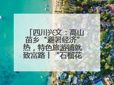 四川兴文：高山苗乡“避暑经济”热，特色旅游铺就致富路丨“石榴花开”四川行⑧