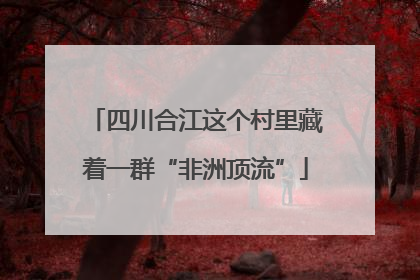 四川合江这个村里藏着一群“非洲顶流”