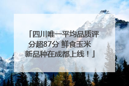 四川唯一平均品质评分超87分 鲜食玉米新品种在成都上线！