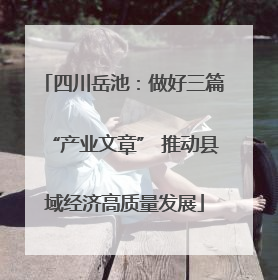 四川岳池：做好三篇“产业文章” 推动县域经济高质量发展