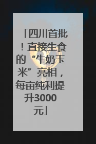 四川首批！直接生食的“牛奶玉米”亮相，每亩纯利提升3000元