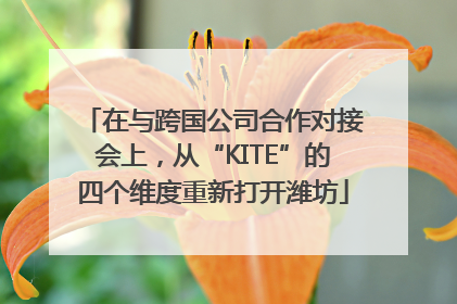 在与跨国公司合作对接会上，从“KITE”的四个维度重新打开潍坊