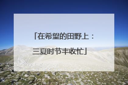 在希望的田野上：三夏时节丰收忙