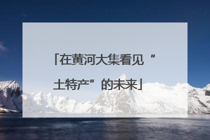在黄河大集看见“土特产”的未来