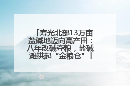 寿光北部13万亩盐碱地迈向高产田：八年改碱夺粮，盐碱滩拱起“金粮仓”