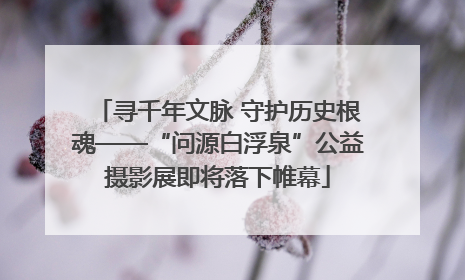寻千年文脉 守护历史根魂——“问源白浮泉”公益摄影展即将落下帷幕