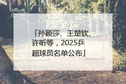 孙颖莎、王楚钦、许昕等，2025乒超球员名单公布