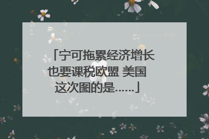 宁可拖累经济增长也要课税欧盟 美国这次图的是……