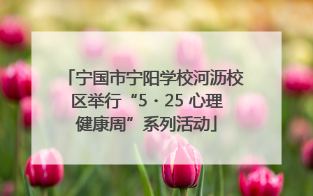 宁国市宁阳学校河沥校区举行“5・25 心理健康周”系列活动