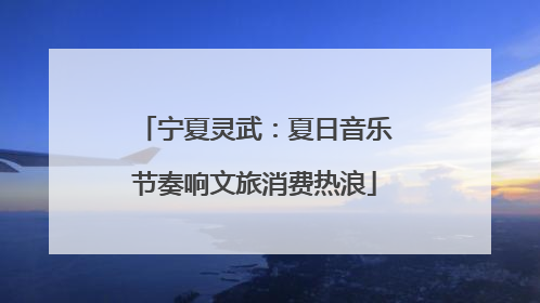 宁夏灵武：夏日音乐节奏响文旅消费热浪