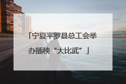 宁夏平罗县总工会举办插秧“大比武”