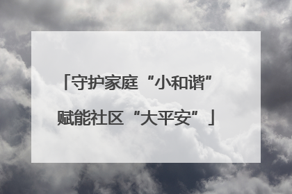 守护家庭“小和谐” 赋能社区“大平安”