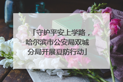 守护平安上学路，哈尔滨市公安局双城分局开展夏防行动