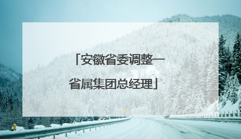 安徽省委调整一省属集团总经理