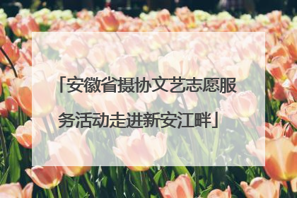 安徽省摄协文艺志愿服务活动走进新安江畔