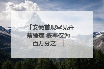 安徽首现罕见并蒂睡莲 概率仅为百万分之一