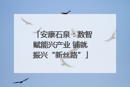 安康石泉：数智赋能兴产业 铺就振兴“新丝路”