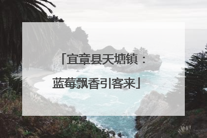 宜章县天塘镇：蓝莓飘香引客来