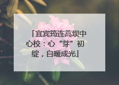 宜宾筠连蒿坝中心校：心“芽”初绽，自暖成光