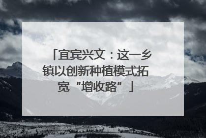 宜宾兴文：这一乡镇以创新种植模式拓宽“增收路”