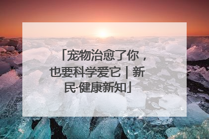 宠物治愈了你，也要科学爱它｜新民·健康新知