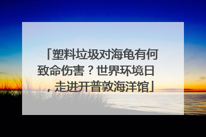 塑料垃圾对海龟有何致命伤害？世界环境日，走进开普敦海洋馆