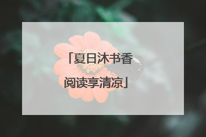 夏日沐书香 阅读享清凉