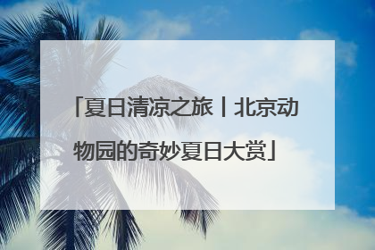 夏日清凉之旅丨北京动物园的奇妙夏日大赏