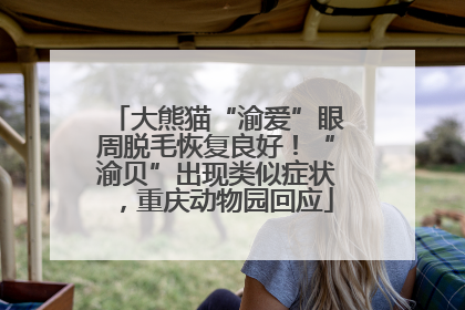 大熊猫“渝爱”眼周脱毛恢复良好！“渝贝”出现类似症状，重庆动物园回应