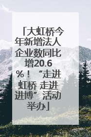 大虹桥今年新增法人企业数同比增20.6%！“走进虹桥 走进进博”活动举办