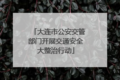大连市公安交管部门开展交通安全大整治行动