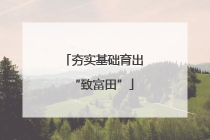 夯实基础育出“致富田”
