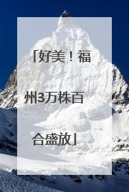 好美！福州3万株百合盛放