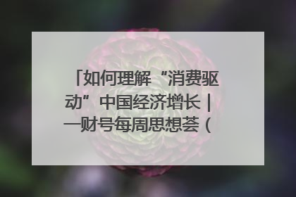 如何理解“消费驱动”中国经济增长｜一财号每周思想荟（第22期）
