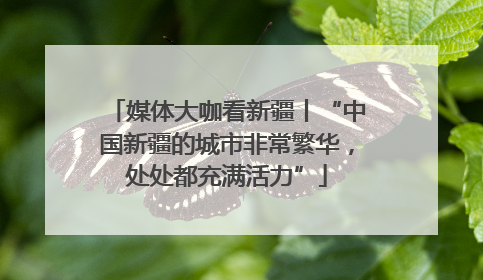 媒体大咖看新疆丨“中国新疆的城市非常繁华，处处都充满活力”