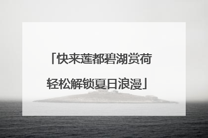 快来莲都碧湖赏荷 轻松解锁夏日浪漫